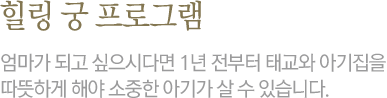 힐링 궁 프로그램 